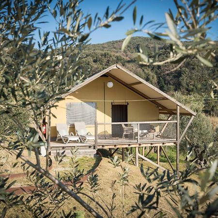 Glamping Tuscany - Podere Cortesi Santa Luce Exterior foto