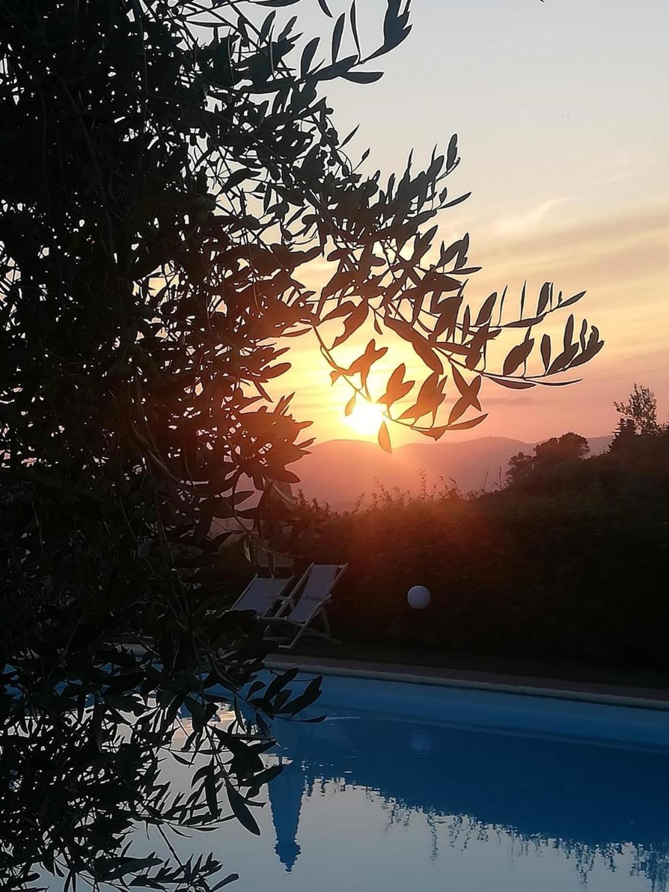 Glamping Tuscany - Podere Cortesi Santa Luce Exterior foto